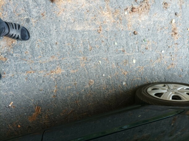 Volkswagen Golf III, 1997 г.