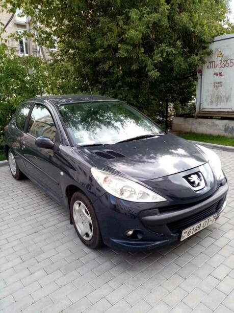 Peugeot 206 Plus, 2009 г.