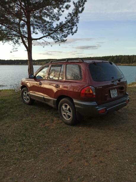 Hyundai Santa Fe SM, 2003 г.