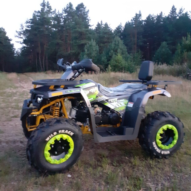 Motoland Wild Trak Wild Trak Lux 200, 2021 г.