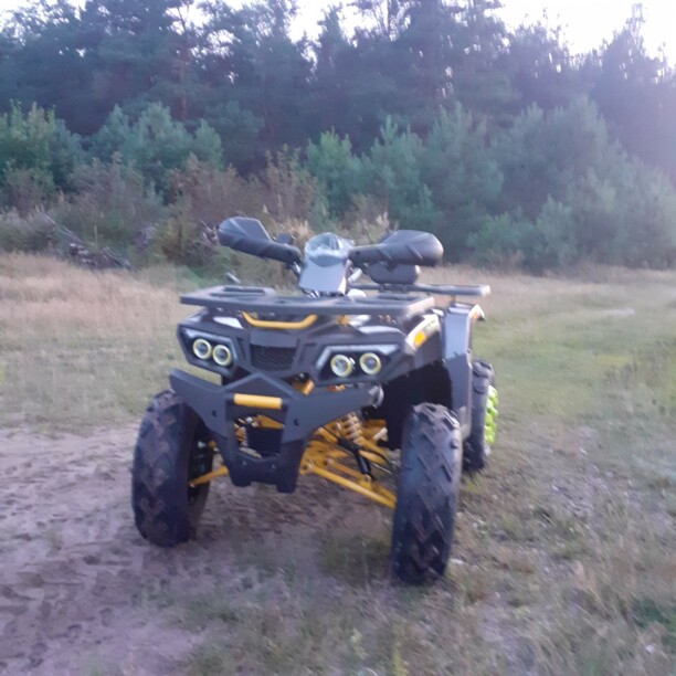 Motoland Wild Trak Wild Trak Lux 200, 2021 г.