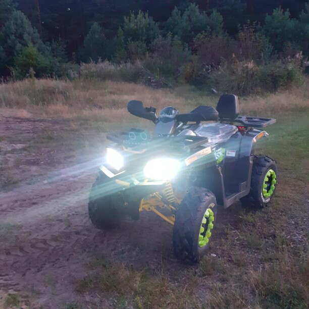 Motoland Wild Trak Wild Trak Lux 200, 2021 г.