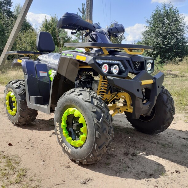 Motoland Wild Trak Wild Trak Lux 200, 2021 г.