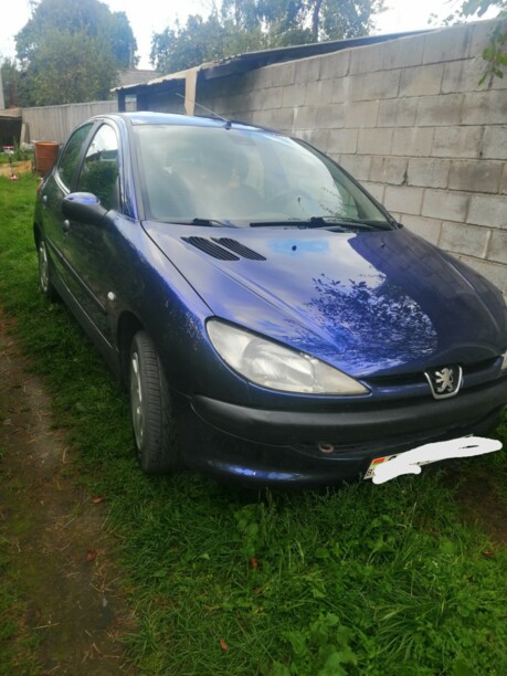 Peugeot 206 I, 2000 г.