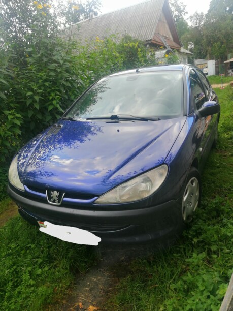 Peugeot 206 I, 2000 г.