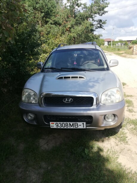 Hyundai Santa Fe SM, 2002 г.
