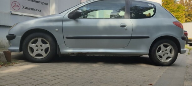 Peugeot 206 I, 2004 г.