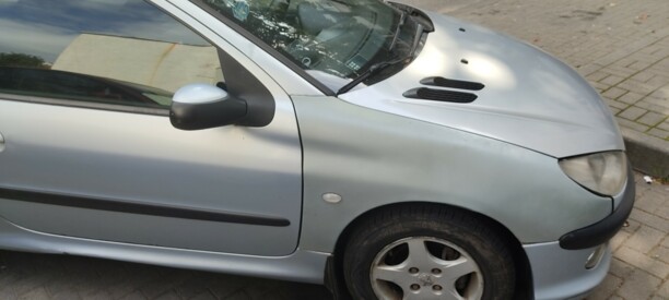 Peugeot 206 I, 2004 г.
