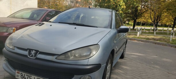 Peugeot 206 I, 2004 г.