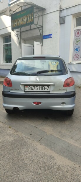 Peugeot 206 I, 2004 г.