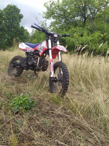 Apollo RFZ, 2019 г.