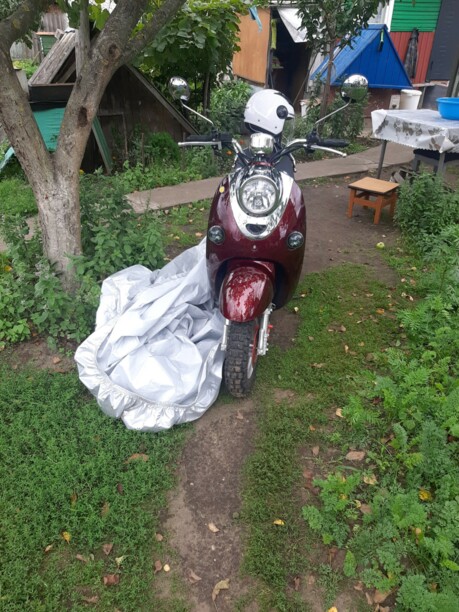 Vento Retro, 2021 г.