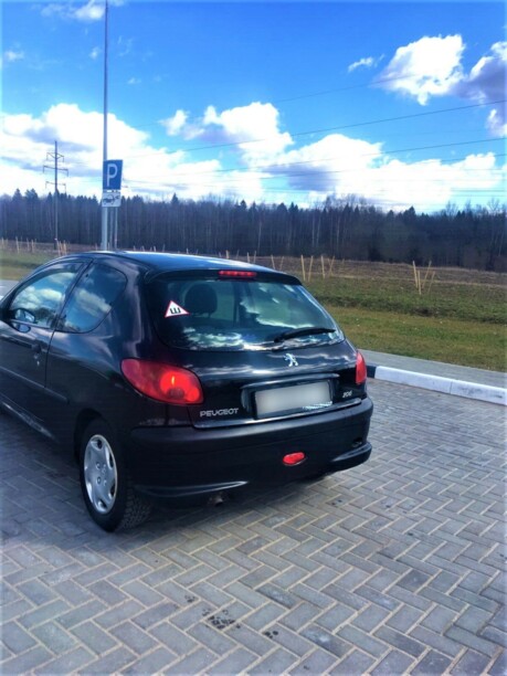 Peugeot 206 I, 2007 г.