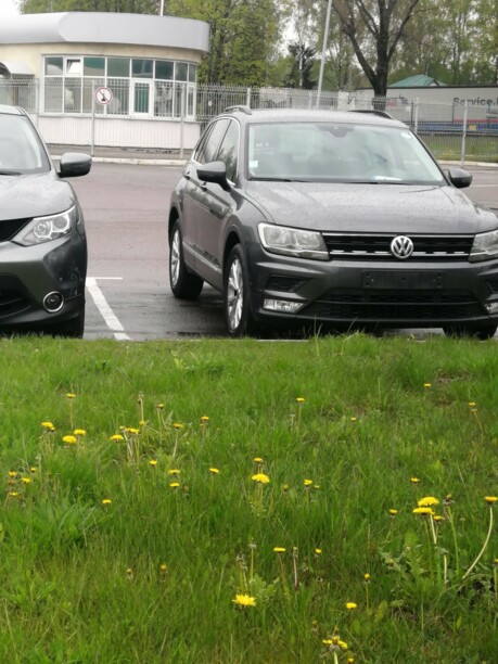 Volkswagen Tiguan II, 2017 г.