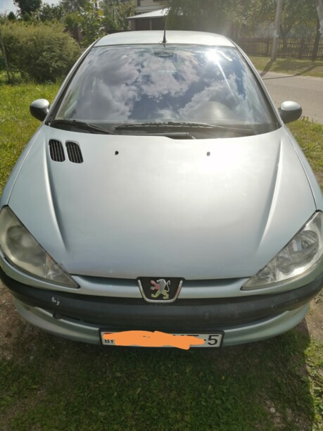 Peugeot 206 I, 2001 г.