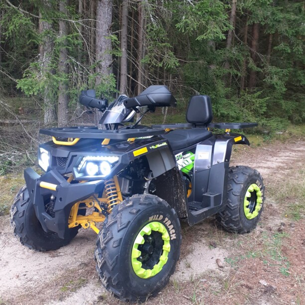 Motoland Wild Trak Wild Trak Lux 200, 2021 г.