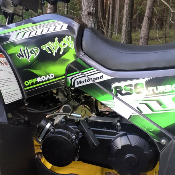 Motoland Wild Trak Wild Trak Lux 200, 2021 г.