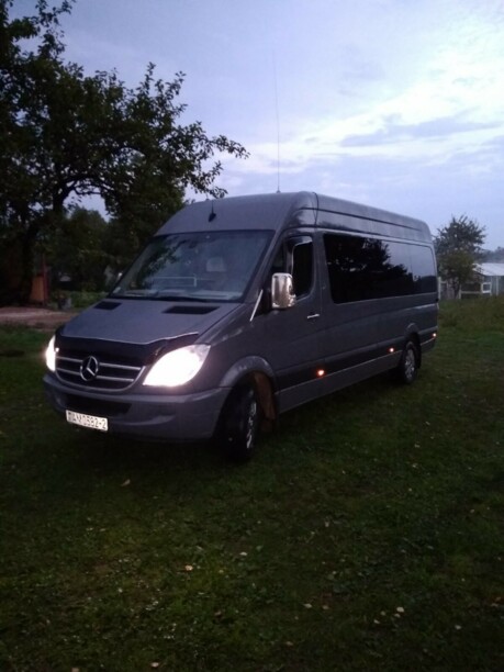 Mercedes-Benz Sprinter 319 , 2011 г.