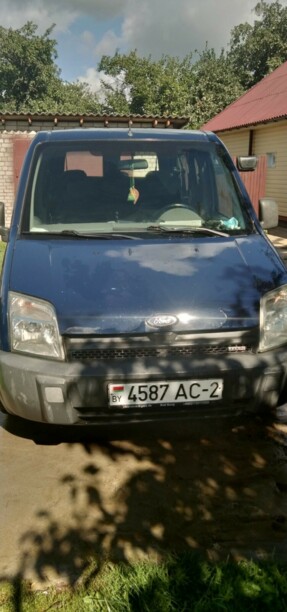 Ford Tourneo Connect I, 2004 г.