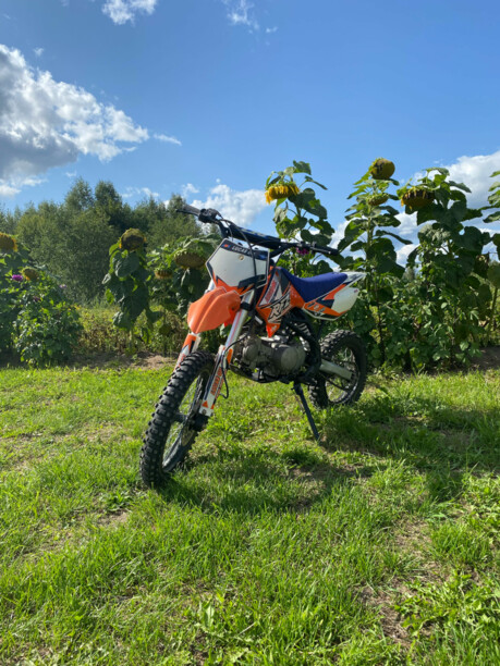 Apollo RFZ, 2019 г.