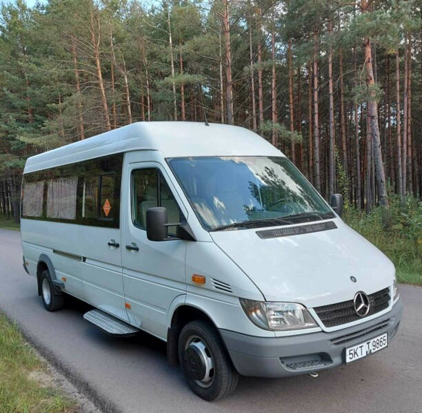 Mercedes-Benz Sprinter 411 CDI, 2013 г.