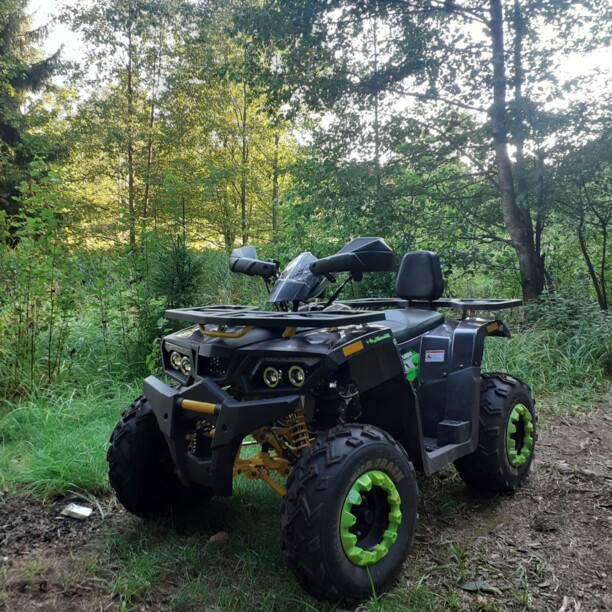 Motoland Wild Trak Wild Trak Lux 200, 2021 г.