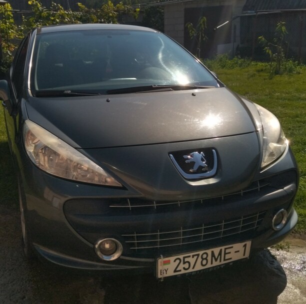 Peugeot 207 I, 2008 г.
