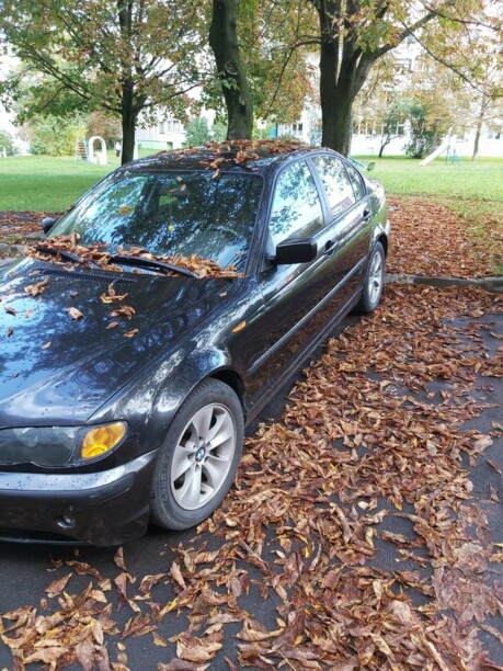 BMW 3 серия E46, 2003 г.