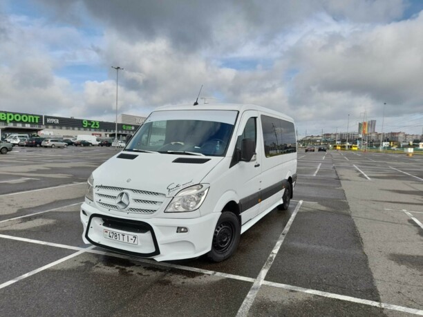 Mercedes-Benz Sprinter 315, 2008 г.