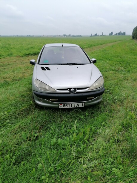 Peugeot 206 I, 2003 г.