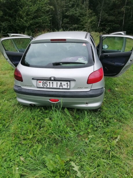 Peugeot 206 I, 2003 г.
