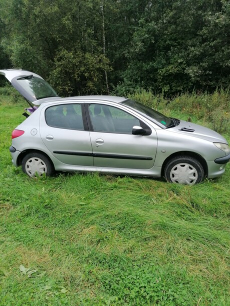 Peugeot 206 I, 2003 г.