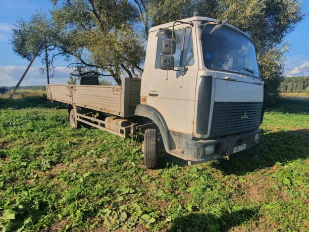 МАЗ 4370, 2009 г.