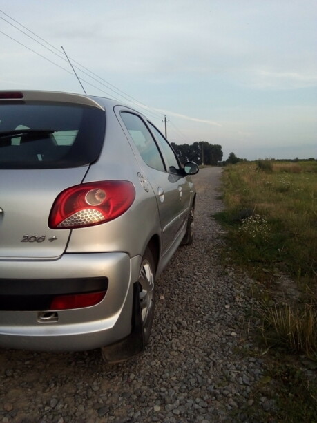 Peugeot 206 Plus, 2010 г.
