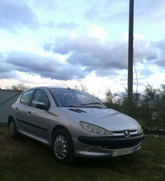 Peugeot 206 I, 2001 г.