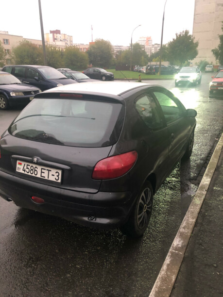 Peugeot 206 I, 2002 г.