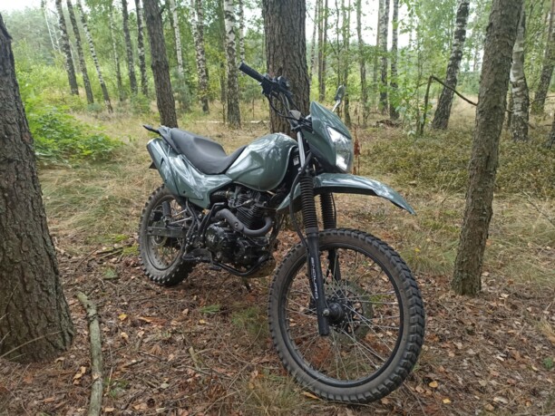 ЗиД YX, 2019 г.