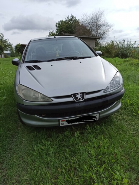 Peugeot 206 I, 2004 г.