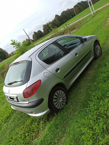 Peugeot 206 I, 2004 г.