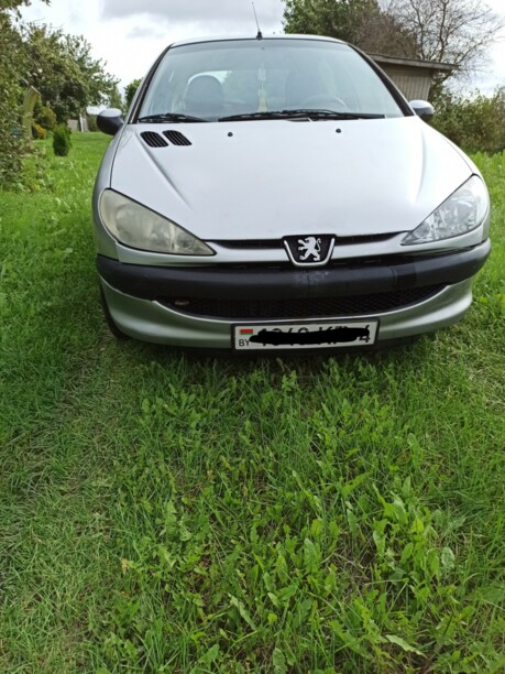 Peugeot 206 I, 2004 г.