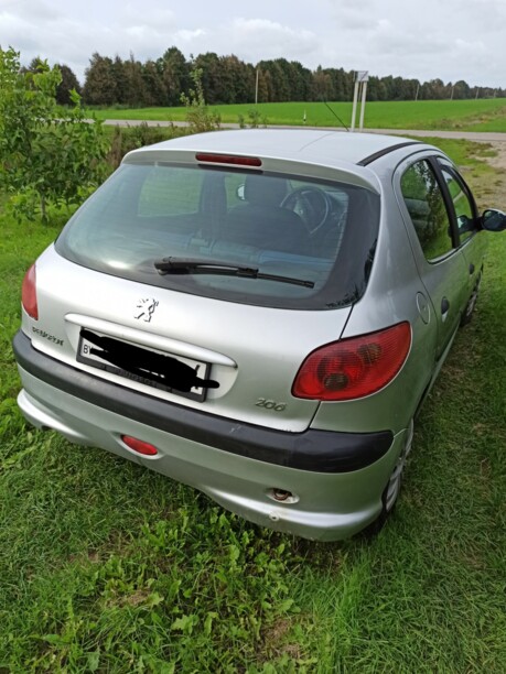 Peugeot 206 I, 2004 г.