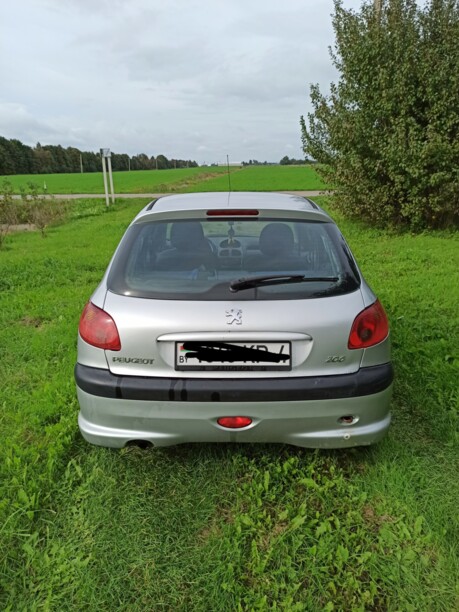 Peugeot 206 I, 2004 г.