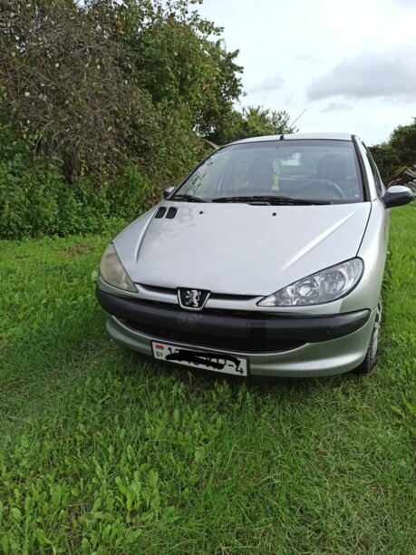 Peugeot 206 I, 2004 г.