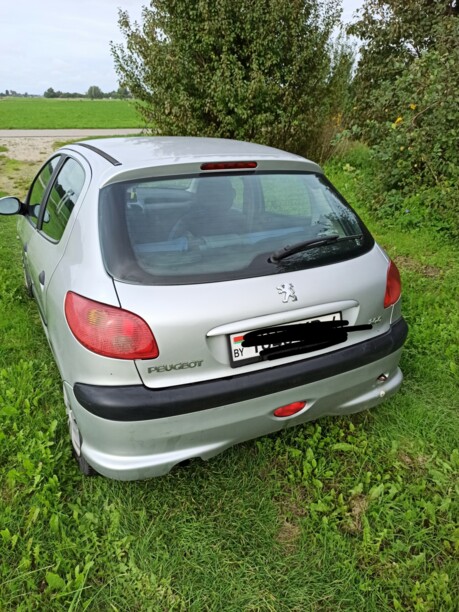 Peugeot 206 I, 2004 г.