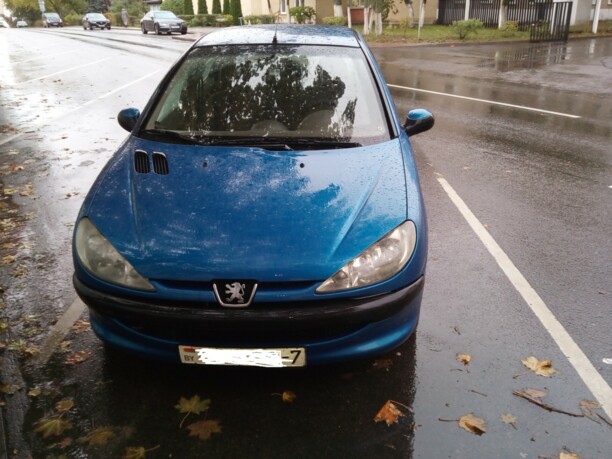 Peugeot 206 I, 2003 г.