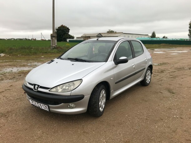 Peugeot 206 I, 2004 г.