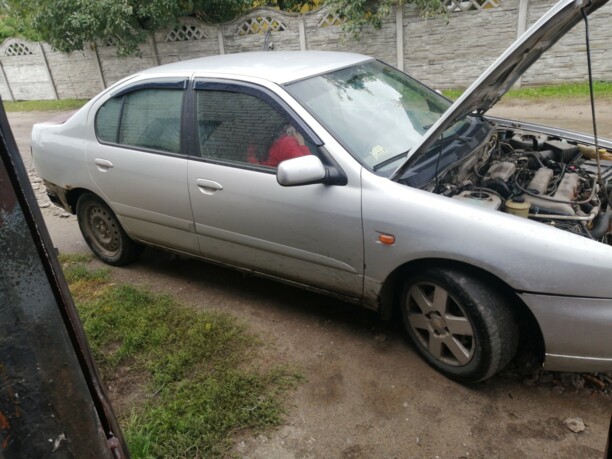 Nissan Primera P11 · Рестайлинг, 2001 г.