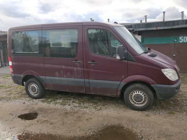 Mercedes-Benz Sprinter 906, 2008 г.
