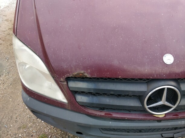 Mercedes-Benz Sprinter 906, 2008 г.