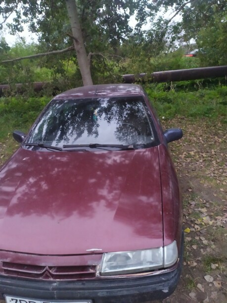 Citroen Xantia X1, 1995 г.